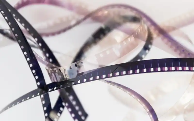 Sélection des rushes - Drones Bloom Sélection des rushes - Drones Bloom